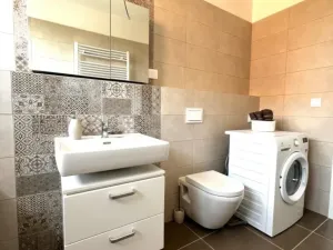 Pronájem bytu 1+kk, Heřmanova Huť - Vlkýš, U Pondu, 35 m2