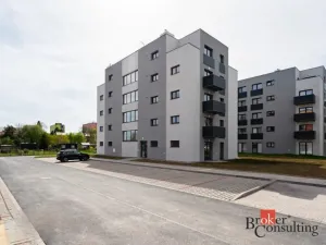 Pronájem bytu 1+kk, Heřmanova Huť - Vlkýš, U Pondu, 35 m2
