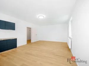 Prodej bytu 1+kk, Břasy, 42 m2