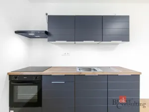 Prodej bytu 1+kk, Břasy, 42 m2