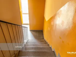 Prodej bytu 1+kk, Plzeň - Doudlevce, Luďka Pika, 20 m2