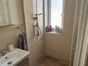 Prodej bytu 2+1, Opava, Žižkova, 43 m2