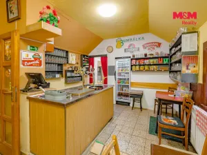 Pronájem restaurace, Kostelec nad Orlicí, Mánesova, 90 m2