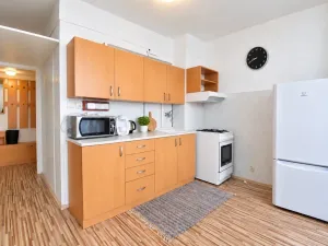 Prodej bytu 1+1, Brno, Horácké náměstí, 44 m2