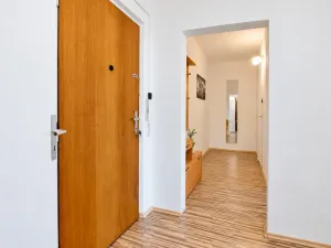 Prodej bytu 1+1, Brno, Horácké náměstí, 44 m2