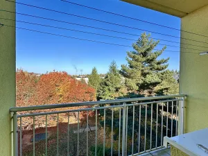 Prodej bytu 1+1, Jihlava, Březinova, 31 m2