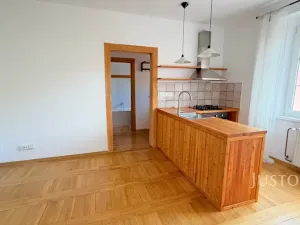 Pronájem bytu 1+1, Ústí nad Labem - Klíše, Ostrčilova, 41 m2