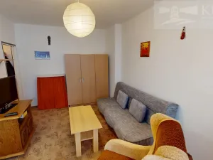 Pronájem bytu 1+kk, Příbram, S. K. Neumanna, 21 m2