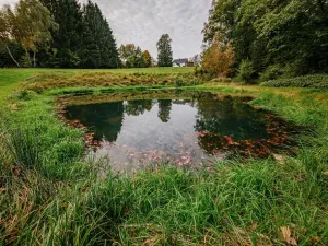 Prodej ubytování, Krásná Lípa - Zahrady, 551 m2