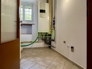 Pronájem bytu 2+1, Koleč - Mozolín, 95 m2