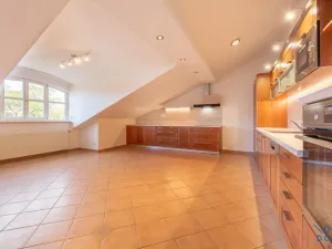 Pronájem bytu 5+kk, Praha - Vinohrady, U Havlíčkových sadů, 295 m2