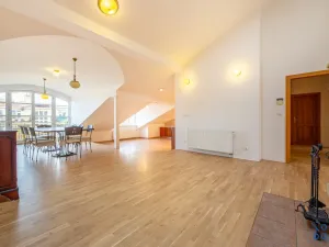 Pronájem bytu 5+kk, Praha - Vinohrady, U Havlíčkových sadů, 295 m2