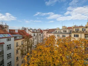 Pronájem bytu 5+kk, Praha - Vinohrady, U Havlíčkových sadů, 295 m2