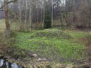 Prodej pozemku, Světlá nad Sázavou, 8621 m2