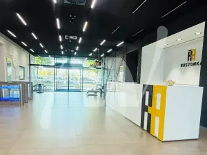 Pronájem kanceláře, Praha - Karlín, Rohanské nábřeží, 337 m2