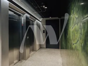 Pronájem kanceláře, Praha - Nové Město, Václavské náměstí, 511 m2