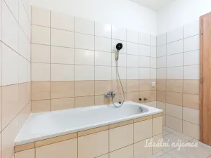 Pronájem rodinného domu, Herink, Dlouhá, 72 m2