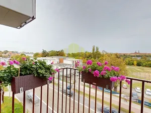 Pronájem bytu 3+kk, Olomouc, 17. listopadu, 88 m2