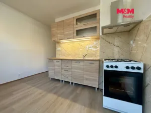 Pronájem bytu 2+1, Chomutov, Holešická, 63 m2