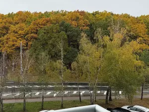 Pronájem bytu 2+1, Brno, Žebětínská, 58 m2