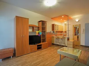 Pronájem bytu 1+kk, Brno, Zlínská, 30 m2