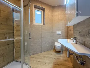 Pronájem bytu 2+kk, České Budějovice, Doudlebská, 60 m2
