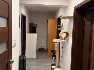 Prodej bytu 3+1, Ostrava, Proskovická, 75 m2