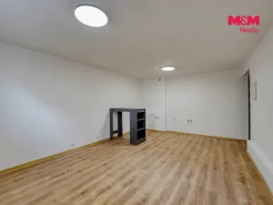 Prodej bytu 1+kk, Plzeň - Východní Předměstí, Ořechová, 26 m2