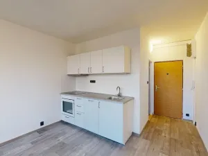 Pronájem bytu 1+1, Most, Marš. Rybalka, 35 m2
