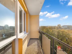 Prodej bytu 2+1, Brno - Černovice, Slámova, 56 m2