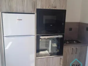Pronájem bytu 1+1, Holčovice, 42 m2