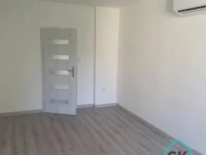 Pronájem bytu 1+1, Holčovice, 42 m2