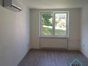 Pronájem bytu 1+1, Holčovice, 42 m2