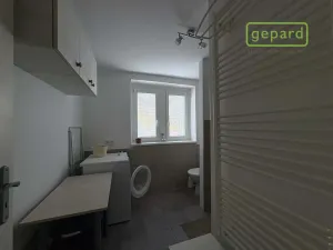 Pronájem bytu 1+1, Brandýs nad Labem-Stará Boleslav - Brandýs nad Labem, Královická, 42 m2
