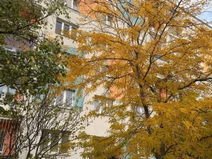 Pronájem bytu 2+1, Praha - Malešice, Počernická, 52 m2