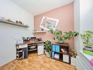Prodej bytu 3+1, Olomouc, Palackého, 127 m2