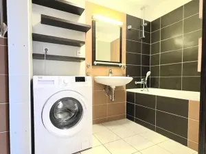 Pronájem bytu 2+kk, Brno, Palackého třída, 61 m2