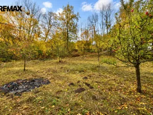Prodej rodinného domu, Vidlatá Seč, 65 m2