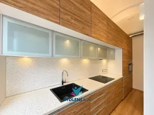 Prodej domu, Teplice, Laubeho náměstí, 425 m2