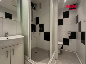 Pronájem bytu 1+kk, Chomutov, Bezručova, 20 m2