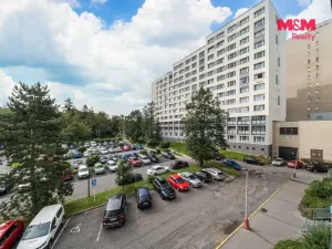 Prodej bytu 1+1, Příbram - Příbram VIII, Čechovská, 33 m2