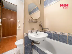 Prodej bytu 2+1, Karlovy Vary - Drahovice, Východní, 60 m2