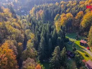 Prodej pozemku pro bydlení, Zábřeh - Dolní Bušínov, 3596 m2