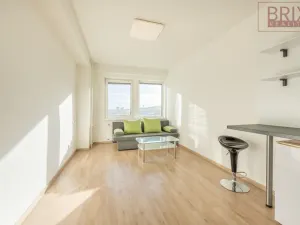 Pronájem bytu 1+kk, Praha, Peroutkova, 25 m2