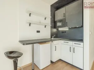 Pronájem bytu 1+kk, Praha, Peroutkova, 25 m2