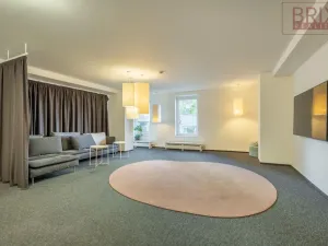 Pronájem bytu 1+kk, Praha, Peroutkova, 25 m2