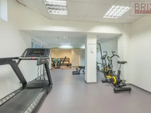 Pronájem bytu 1+kk, Praha, Peroutkova, 25 m2