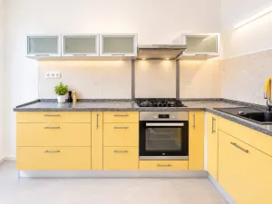 Prodej bytu 2+1, Brno - Černovice, Elišky Krásnohorské, 57 m2