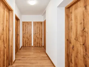 Prodej bytu 2+1, Brno - Černovice, Elišky Krásnohorské, 57 m2