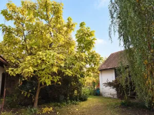 Prodej rodinného domu, Smidary - Chotělice, 90 m2